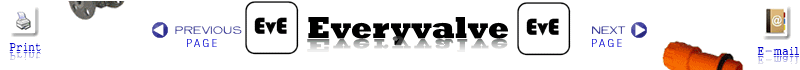 Everyvalve.com